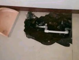 丹凤卫生间测漏水多少钱